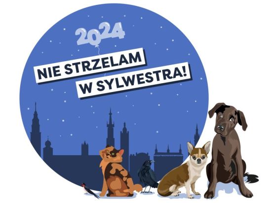 Apel o nieużywanie fajerwerków