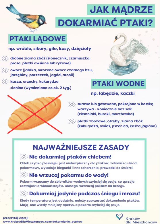 Graficzna informacja o poprawności karmienia ptaków